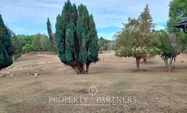 Oportunidad de inversión, parcelas de 5.000 m² a minutos de Puerto Varas, subdivididle