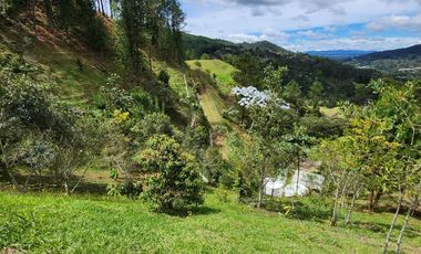 Lote en Juanito laguna