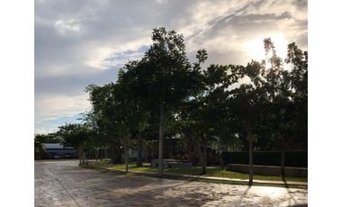 Venta Terreno Residencial Arbórea Conkal Mérida Yucatán