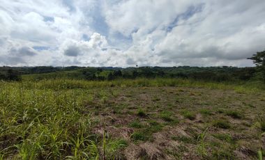 LOTE EN VENTA/CERRITOS/PEREIRA