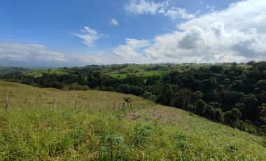 LOTE EN VENTA/CERRITOS/PEREIRA