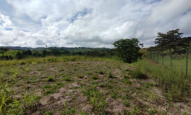 LOTE EN VENTA/CERRITOS/PEREIRA