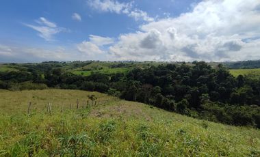 LOTE EN VENTA/CERRITOS/PEREIRA