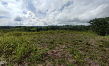 LOTE EN VENTA/CERRITOS/PEREIRA