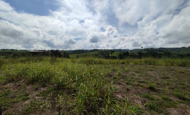 LOTE EN VENTA/CERRITOS/PEREIRA