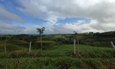 LOTE EN VENTA EN CERRITOS/PEREIRA