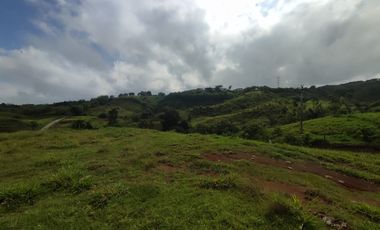 LOTE EN VENTA EN CERRITOS/PEREIRA