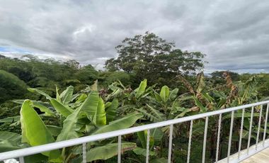 CASA CAMPESTRE EN VENTA EN QUIMBAYA/QUINDIO