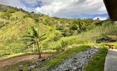 FINCA EN VENTA EN FILADELFIA/CALDAS