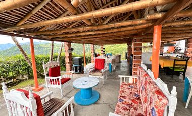 FINCA EN VENTA EN FILADELFIA/CALDAS