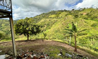 FINCA EN VENTA EN FILADELFIA/CALDAS