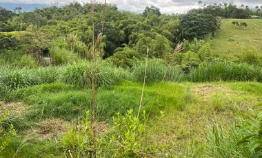 LOTE EN VENTA VIA ARMENIA / PEREIRA