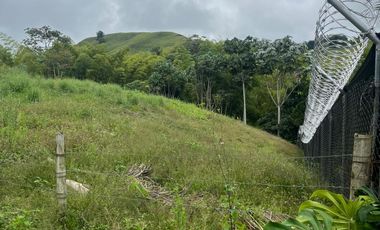 LOTE EN VENTA VIA ARMENIA / PEREIRA