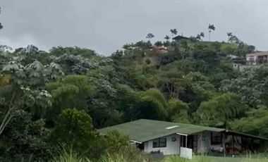 LOTE EN VENTA VIA ARMENIA / PEREIRA