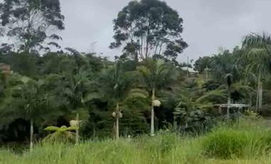 LOTE EN VENTA VIA ARMENIA / PEREIRA