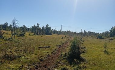 Se vende hermosa parcela en Quemchi