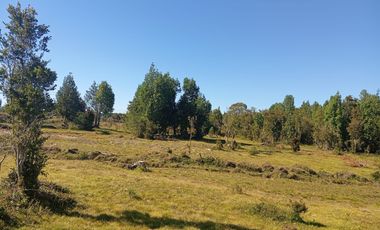 Se vende hermosa parcela en Quemchi