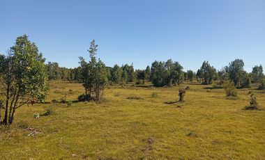 Se vende hermosa parcela en Quemchi
