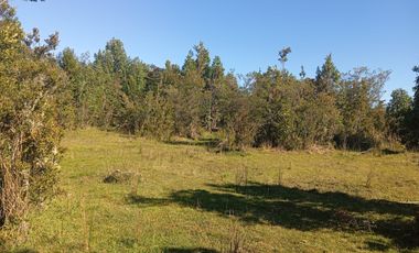 Se vende hermosa parcela en Quemchi