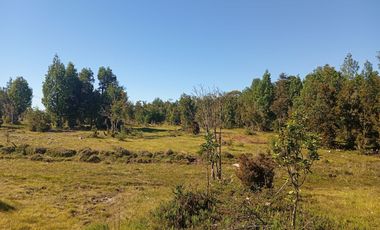 Se vende hermosa parcela en Quemchi