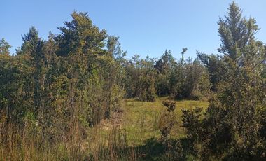 Se vende hermosa parcela en Quemchi