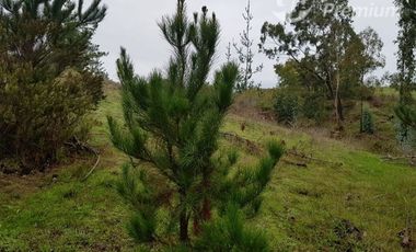 Parcela en Venta en Paredones