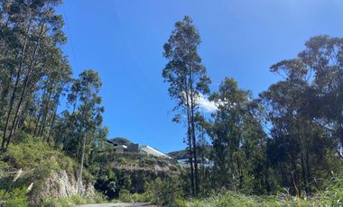 Terreno en  Challuabamba, Planito