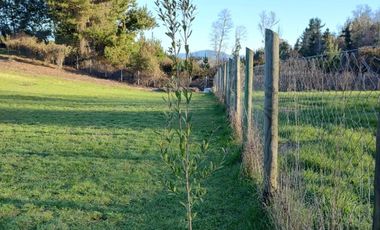 LONCOCHE/VILLARRICA
