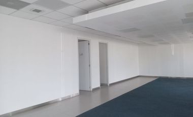 Excelente local en avenida principal