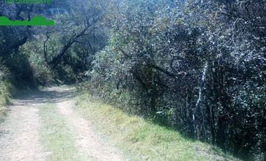 Terreno Comercial en Venta en Mineral del Monte Hidalgo