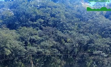 Terreno Comercial en Venta en Mineral del Monte Hidalgo