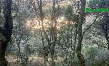 Terreno Comercial en Venta en Mineral del Monte Hidalgo