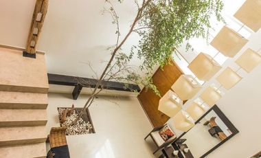 Casa en renta en Olivos Residencial, Zona Real, Zapopan Jalisco