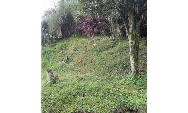 Venta de Lote, sector La Raya Caldas Antioquia