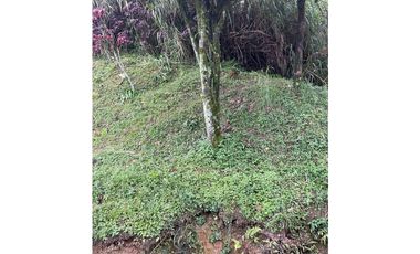 Venta de Lote, sector La Raya Caldas Antioquia