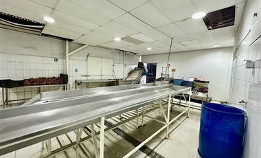 Industrial en Venta en Porto Seguro