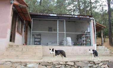 Hermoso Rancho CALATE I en venta en Juanacatlan a 15 min. de Tapalpa con bosque.
