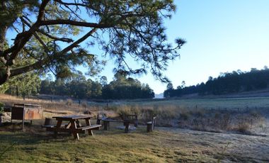 Hermoso Rancho CALATE I en venta en Juanacatlan a 15 min. de Tapalpa con bosque.