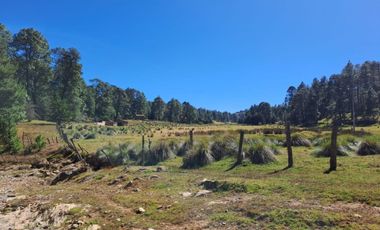 Hermoso Rancho CALATE I en venta en Juanacatlan a 15 min. de Tapalpa con bosque.