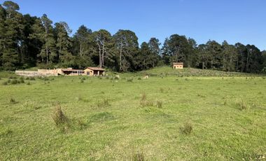 Hermoso Rancho CALATE I en venta en Juanacatlan a 15 min. de Tapalpa con bosque.
