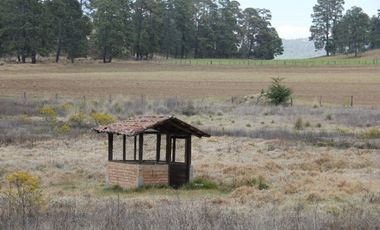 Hermoso Rancho CALATE I en venta en Juanacatlan a 15 min. de Tapalpa con bosque.