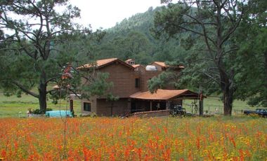 Hermoso Rancho CALATE I en venta en Juanacatlan a 15 min. de Tapalpa con bosque.