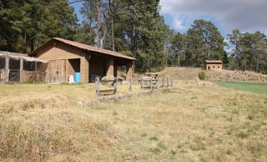Hermoso Rancho CALATE I en venta en Juanacatlan a 15 min. de Tapalpa con bosque.