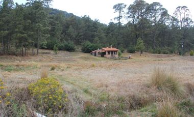 Hermoso Rancho CALATE I en venta en Juanacatlan a 15 min. de Tapalpa con bosque.