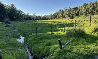 Hermoso Rancho CALATE I en venta en Juanacatlan a 15 min. de Tapalpa con bosque.