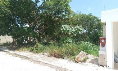 Terreno en Zona Norte de Mérida