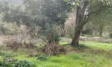 FOCOLARE PROPIEDADES VENDE SITIO