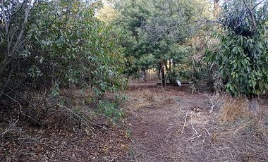 FOCOLARE PROPIEDADES VENDE SITIO