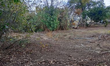 FOCOLARE PROPIEDADES VENDE SITIO