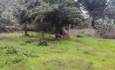 FOCOLARE PROPIEDADES VENDE SITIO